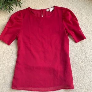 Loft Pink Sheer Overlay Top XSP